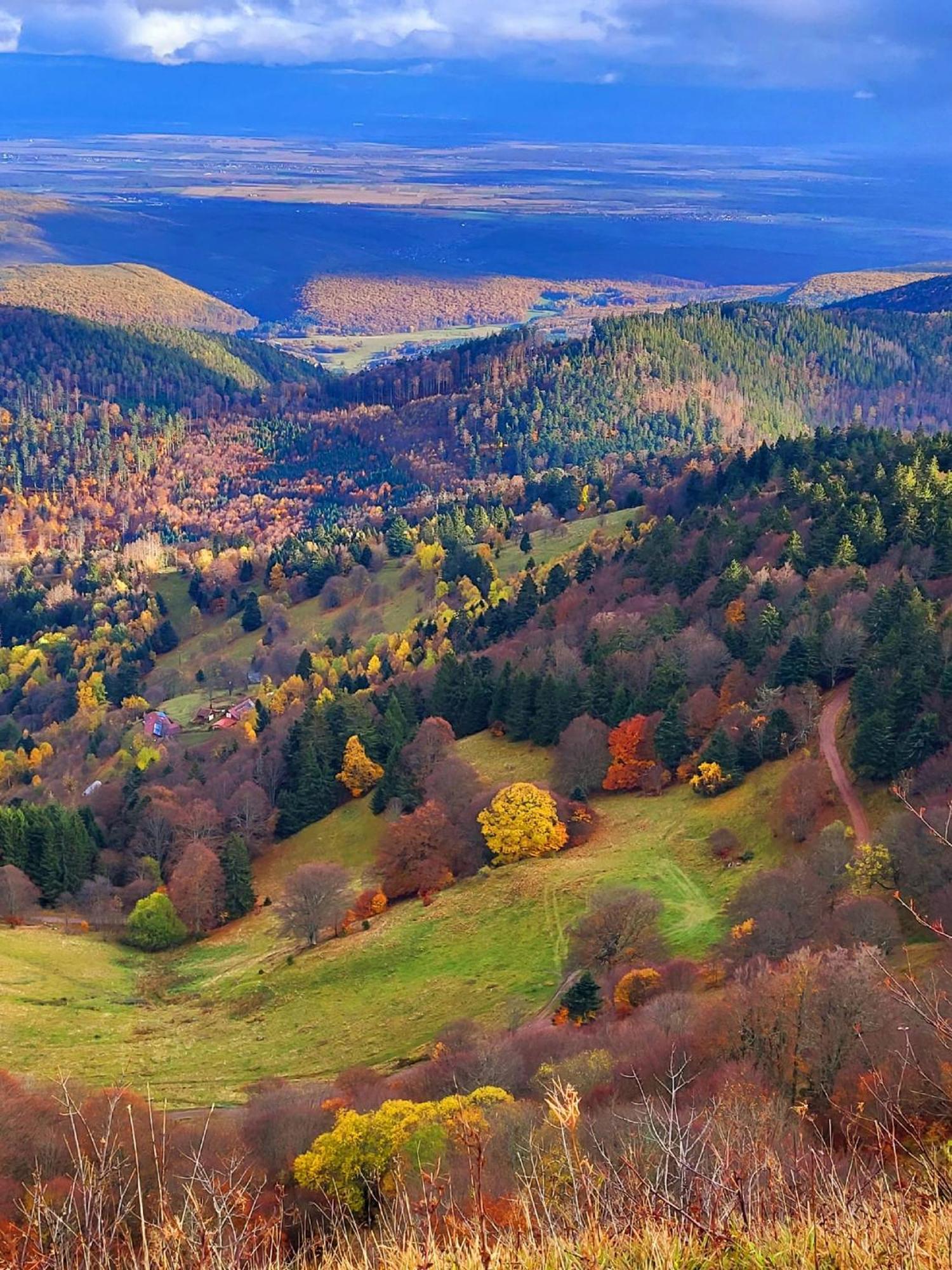 Le Panorama Du Murat Mulhouse Riedisheim 68 Haut-Rhin Alsace Saint-Louis Exteriör bild
